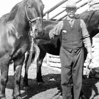 George Jr. with Horses